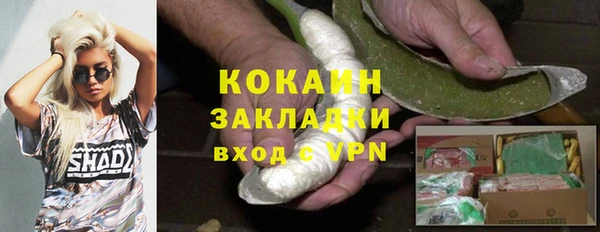 стаф Новозыбков