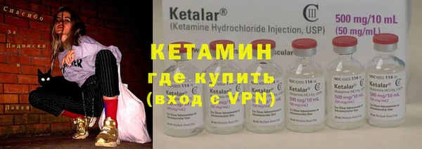стаф Новозыбков