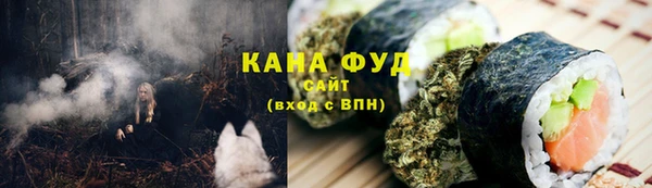 стаф Новозыбков