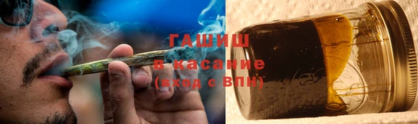 стаф Новозыбков