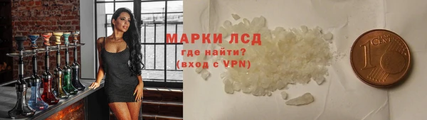 стаф Новозыбков