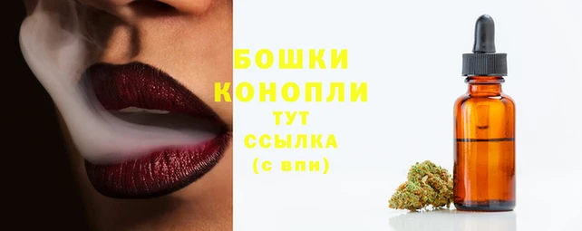 стаф Новозыбков