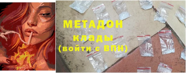 стаф Новозыбков