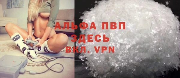 дживик Аша